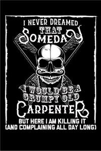 Never Dreamed That Someday I Would Be a Grumpy Old Carpenter