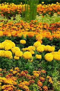 Flower Beds Notebook