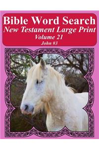 Bible Word Search New Testament Large Print Volume 21