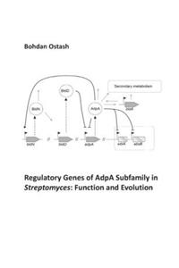 Regulatory Genes of AdpA Subfamily in Streptomyces