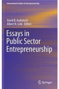 Essays in Public Sector Entrepreneurship
