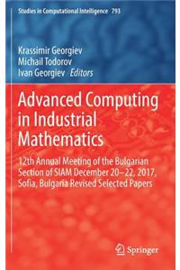 Advanced Computing in Industrial Mathematics
