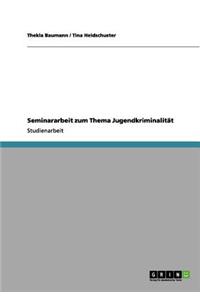 Seminararbeit zum Thema Jugendkriminalität