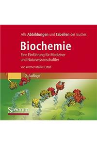 Bild-DVD, Biochemie