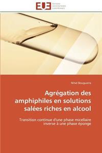 Agrégation des amphiphiles en solutions salées riches en alcool