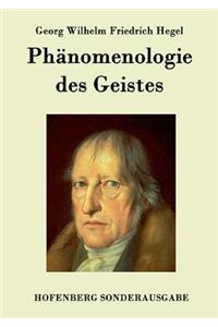 Phänomenologie des Geistes