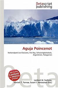 Aguja Poincenot
