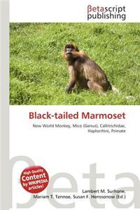 Black-Tailed Marmoset