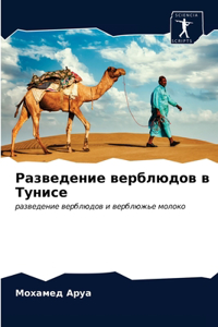 Разведение верблюдов в Тунисе