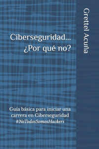 Ciberseguridad... ¿Por qué no?