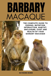 Barbary Macaque