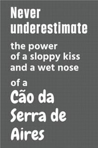 Never underestimate the power of a sloppy kiss and a wet nose of a Cão da Serra de Aires