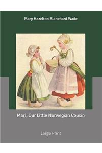 Mari, Our Little Norwegian Cousin