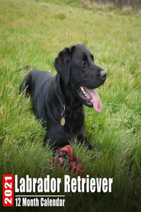 Calendar 2021 Labrador Retriever