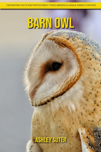 Barn Owl