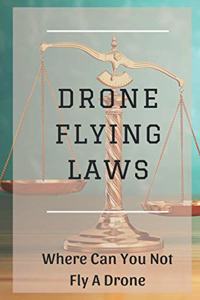 Drone Flying Laws