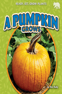 Pumpkin Grows