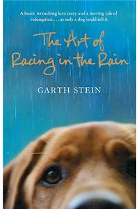 The Art of Racing in the Rain