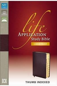NIV, Life Application Study Bible, Second Edition, Large Print, Bonded Leather, Burgundy, Thumb Indexed