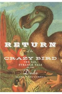 Return of the Crazy Bird