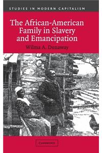 African-American Family in Slavery and Emancipation