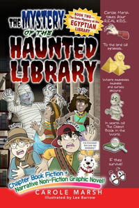 Eerie Mystery at the Egyptian Library