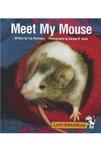 Meet My Mouse