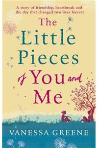 Little Pieces of You and Me