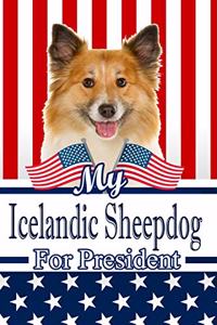 My Icelandic Sheepdog for President