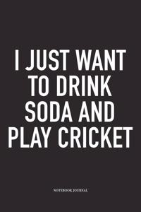 I Just Want to Drink Soda and Play Cricket