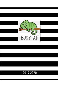 Busy AF 2019-2020