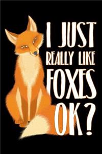 I Just Really Like Foxes Ok