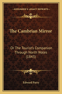 Cambrian Mirror