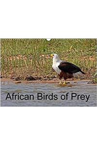 African Birds of Prey 2018