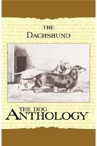 Daschund - A Dog Anthology (A Vintage Dog Books Breed Classic)