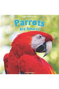 Parrots Are Smart!
