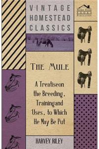 Mule - A Treatise on the Breeding, Training and Uses, to Which He May Be Put