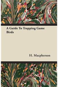 Guide To Trapping Game Birds