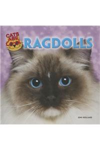 Ragdolls