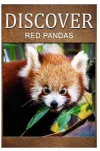 Red Pandas - Discover