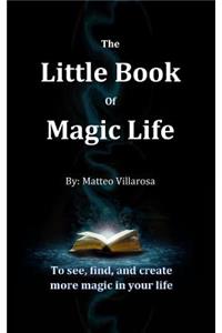 Little Book of Magic Life