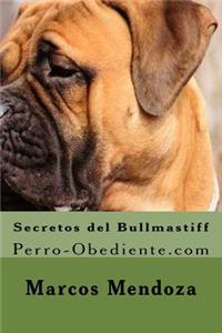 Secretos del Bullmastiff