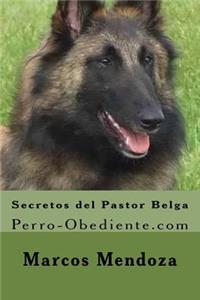 Secretos del Pastor Belga