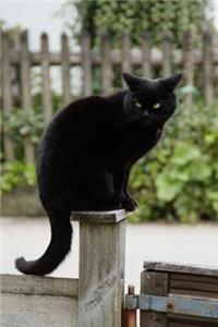 Black Cat Keeping Watch Journal