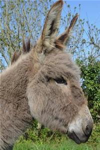 Captivating Gray Donkey in Profile Portrait Journal