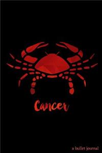 Cancer Bullet Journal