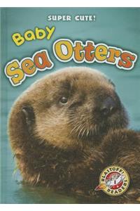 Baby Sea Otters