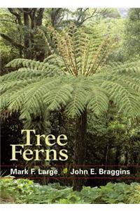 Tree Ferns