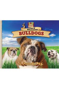 Burly Bulldogs