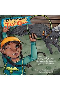 Les Aventures de Jay et Gizmo